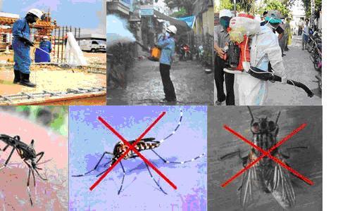 Dịch vụ diệt côn trùng - Công Ty TNHH Thương Mại Dịch Vụ Nam Việt Đức